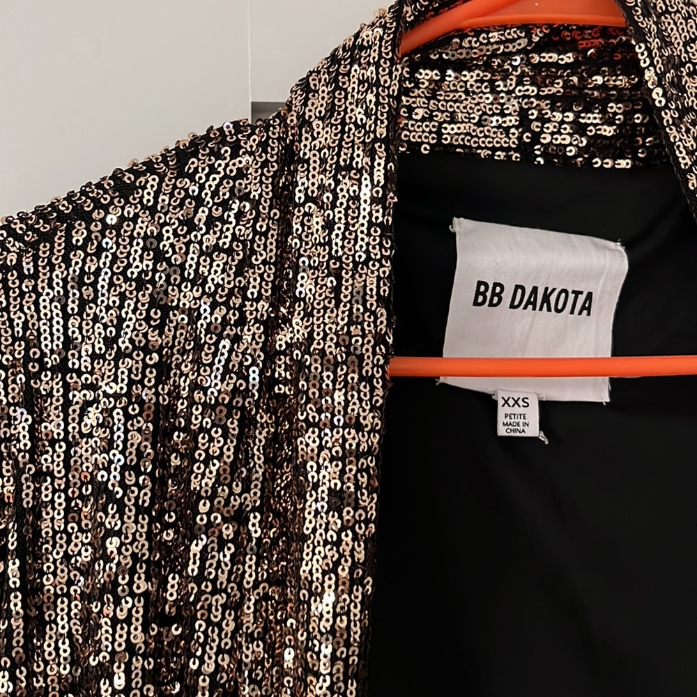 Amazing sequin duster! - Picture 3 of 4
